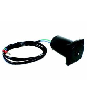 MOTOR TRIM