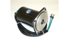 MOTOR TRIM E-TEC
