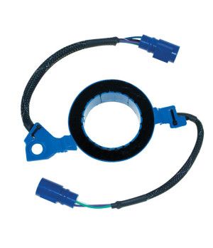 TIGGERS