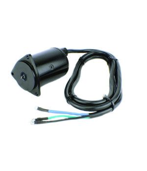 MOTOR TRIM