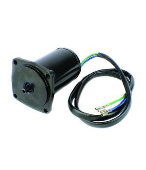 MOTOR TRIM
