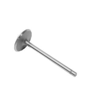 VALVE: EXHAUST 181 RK