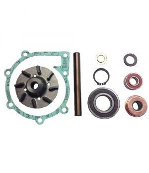 KIT REPARACION BOMBA AGUA D30/D31/D32