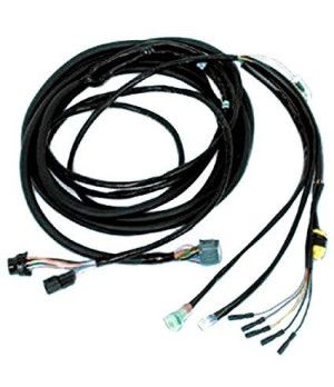 EXTERNAL ARNES