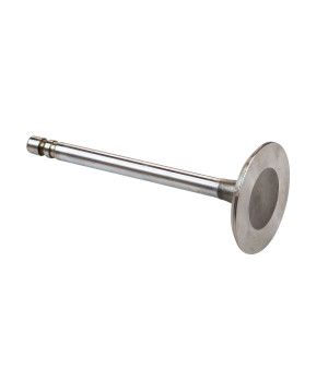VALVE: INTAKE 181