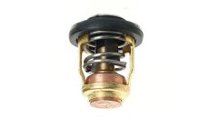 THERMOSTAT11919M