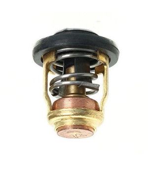 TERMOSTATO 11919MMERCURY 11919M, 83282M
Yamaha: 6E5-12411- 02, 6E5-12411-01
