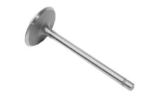 VALVOLE: INTAKE 262REFERENCIA MERCRUISER 97661
REFERENCIA VOLVO 841873
