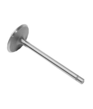 VALVE: EXHAUST 262 Y 305