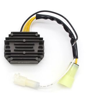 REGOLATORE RETTIFICATORE