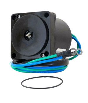 MOTOR TRIM -OBSOLETO-