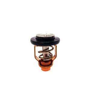 THERMOSTAT 71ºC