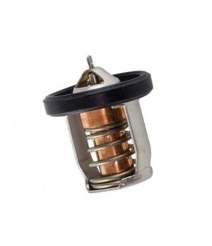 THERMOSTAT 60ºC