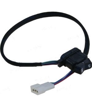 INTERRUPTOR TRIM