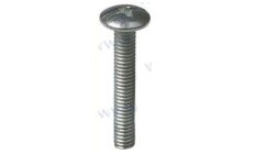 SCREW  PAN HEAD M5X30