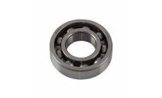 BEARING 6004
