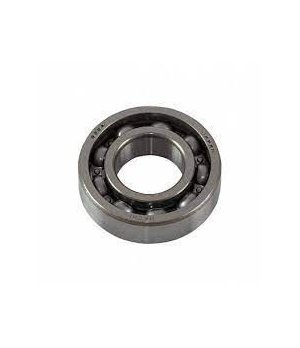 BEARING 6004
