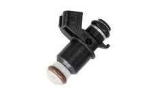 INYECTOR 8M0091784