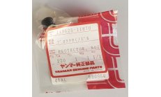 PROTECTOR, NOZZLE