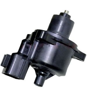 VALVULA IAC