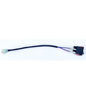 INTERRUPTOR TRIM