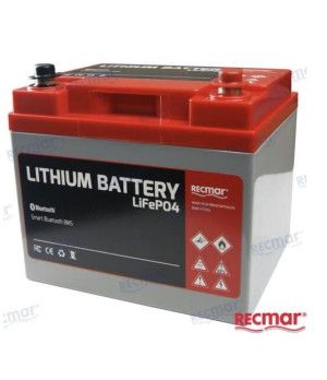 bateria litio 36V 100A