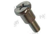 SCREW, STARTER