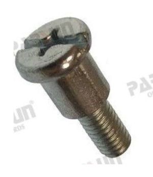 SCREW, STARTER