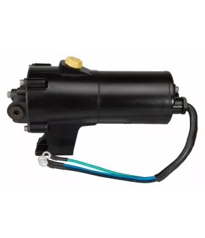 BOMBA Y MOTOR TRIM DP DPX