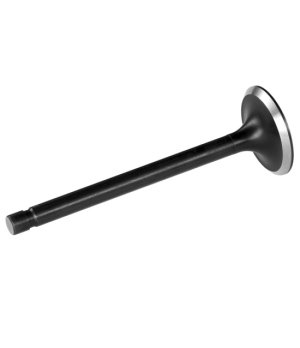 VALVULA ADMISION 4.3 5.7 V6 V8 809992PARA MOTORES VORTEC
MERCRUISER 809992
VOLVO 3855810