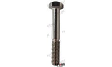 BOLT  HEXAGON M8x55
