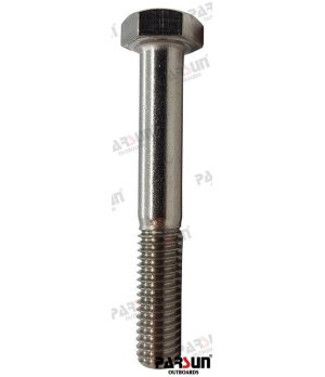 BOLT  HEXAGON M8x55