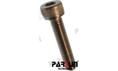 Bullone M5x25 (PAGB/T70.1-M5X25)Bullone inossidabile M5x25 per applicazioni marine. Resistente alla corrosione, ideale per motor