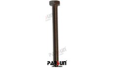 BOLZENTM6X60