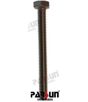 BOLZENTM6X60