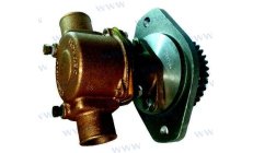 CUMMINS 4B PUMP 3927684