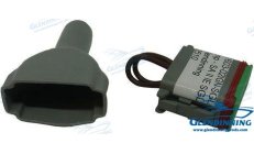 BRIDGE PLUG 1E SGL