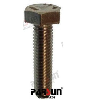 Parafuso Hexagonal M6x25 (PAGB/T5283-M6X25)Parafuso hexagonal M6x25 para motores de popa e equipamento náutico. Resistente à cor
