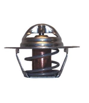 TERMOSTATO INOX MCM V6 y V8