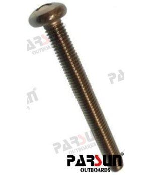 Vite Testa Pannellata M5x45 (PAGB/T818-M5X45)Vite testa pannellata M5x45 resistente alla corrosione per applicazioni marine. Fis