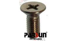 Vite Testa Pannellata M5X12 (PAGB/T819.2-M5X12)Vite acciaio inossidabile M5X12 con testa pannellata per applicazioni marine. Res