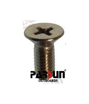 Vite Testa Pannellata M5X12 (PAGB/T819.2-M5X12)Vite acciaio inossidabile M5X12 con testa pannellata per applicazioni marine. Res