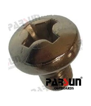 Vite Testa Pannellata M8x10 (PAGB/T818-M8X10)Vite testa pannellata M8x10 resistente alla corrosione per applicazioni nautiche e 