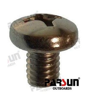 Vite Testa Pannellata M6x8 (PAGB/T818-M6X8)Vite testa pannellata M6x8 in acciaio inossidabile per applicazioni marine. Resistent