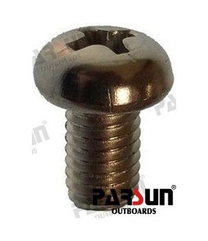 SCHRAUBE, LINSENKOPF M5X8