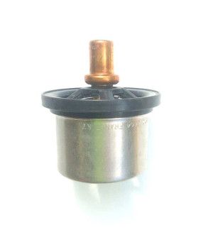 TERMOSTATO VOLVO
