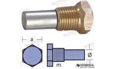 Anodo Bukh con Tappo (TEN02053T)Anodo sacrificale Bukh con tappo per proteggere il tuo motore marino dalla corrosione. Protezion