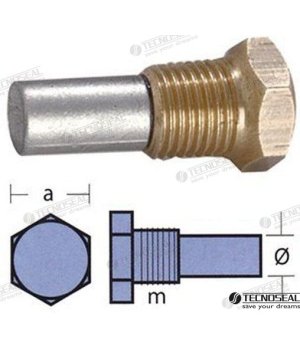 Ânodo Bukh com Tampa (TEN02053T)Ânodo sacrificial de zinco com tampa para motores marítimos Bukh. Proteção anticorrosiva eficaz 