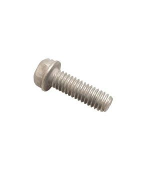 TORNILLO OMC 317624