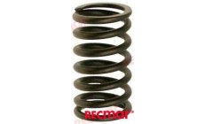 VALVE SPRING